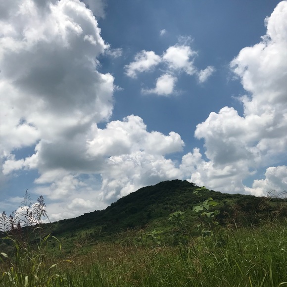 Meet your Posher, Ana carina - Picture 1 of 1